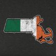 Irish Massachusetts Youth Hoodie Sale