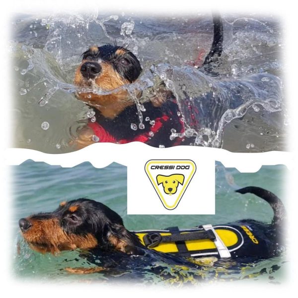 Cressi Premium Dog Life Jacket For Discount